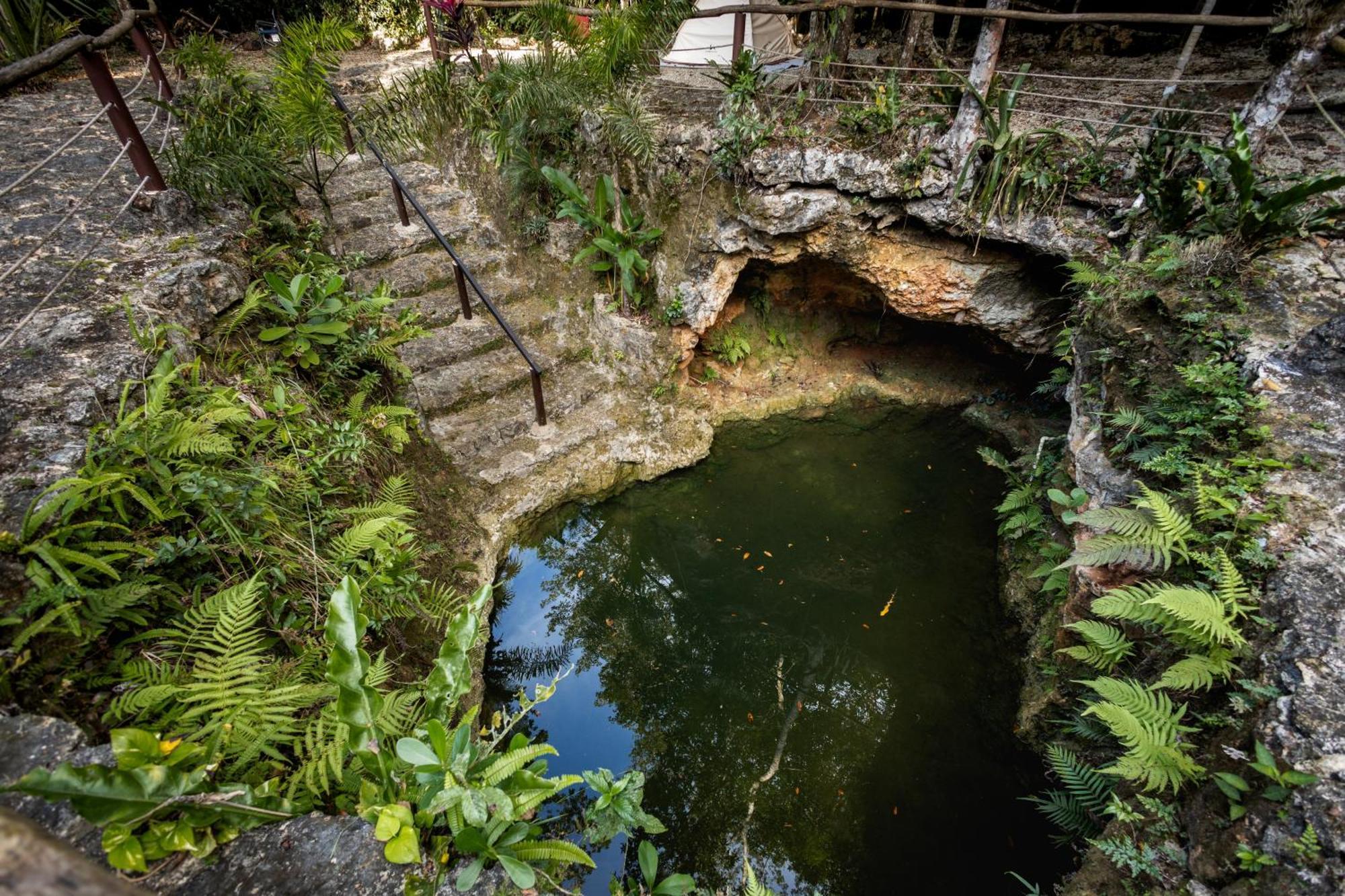 Cheel Lodge & Camping Puerto Morelos Exteriör bild