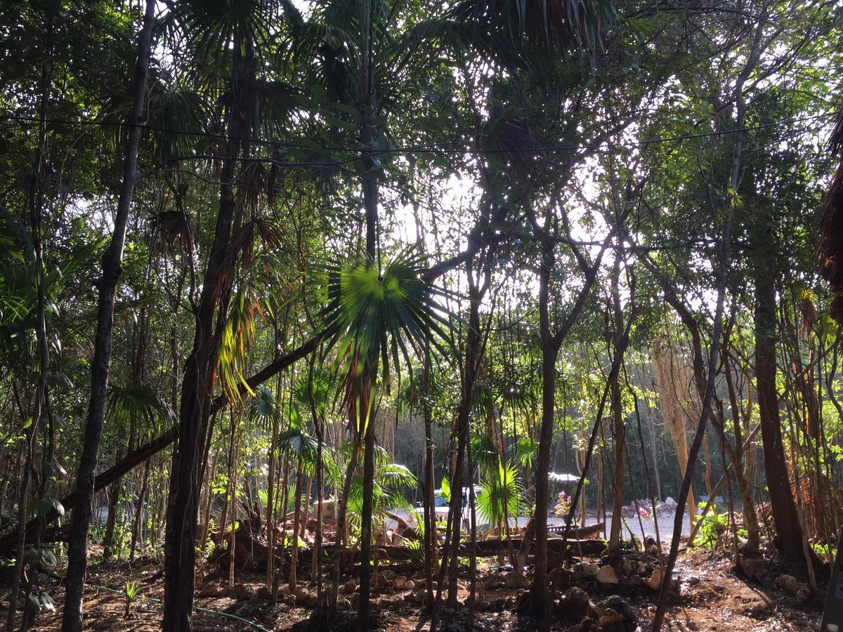 Cheel Lodge & Camping Puerto Morelos Exteriör bild