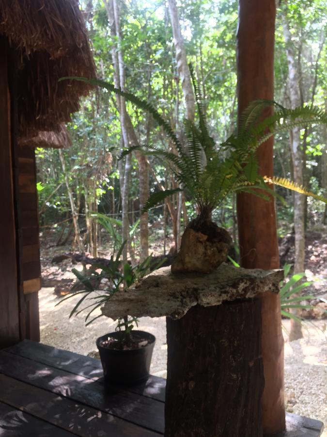 Cheel Lodge & Camping Puerto Morelos Exteriör bild