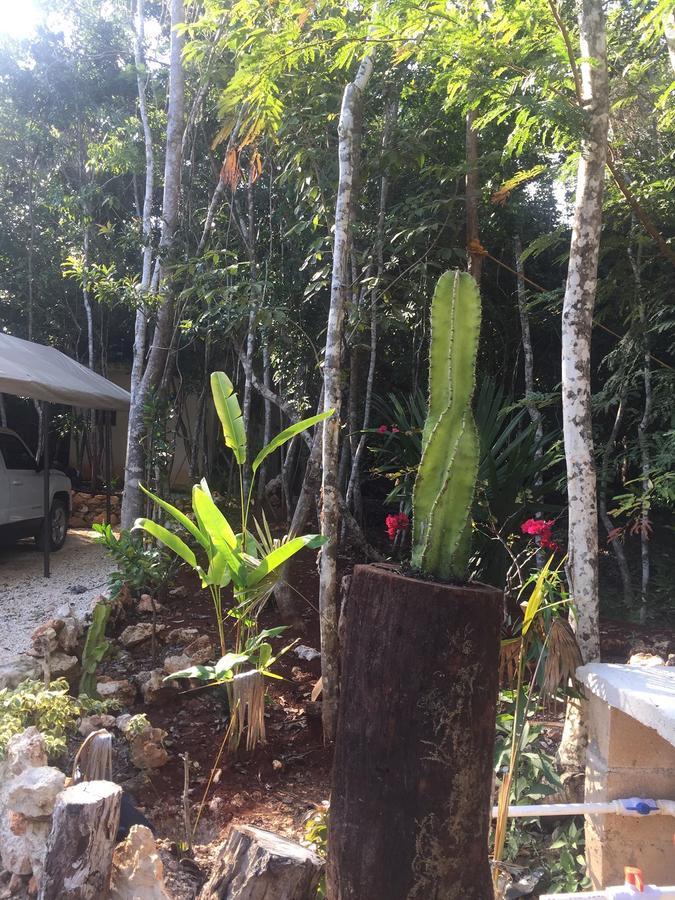 Cheel Lodge & Camping Puerto Morelos Exteriör bild