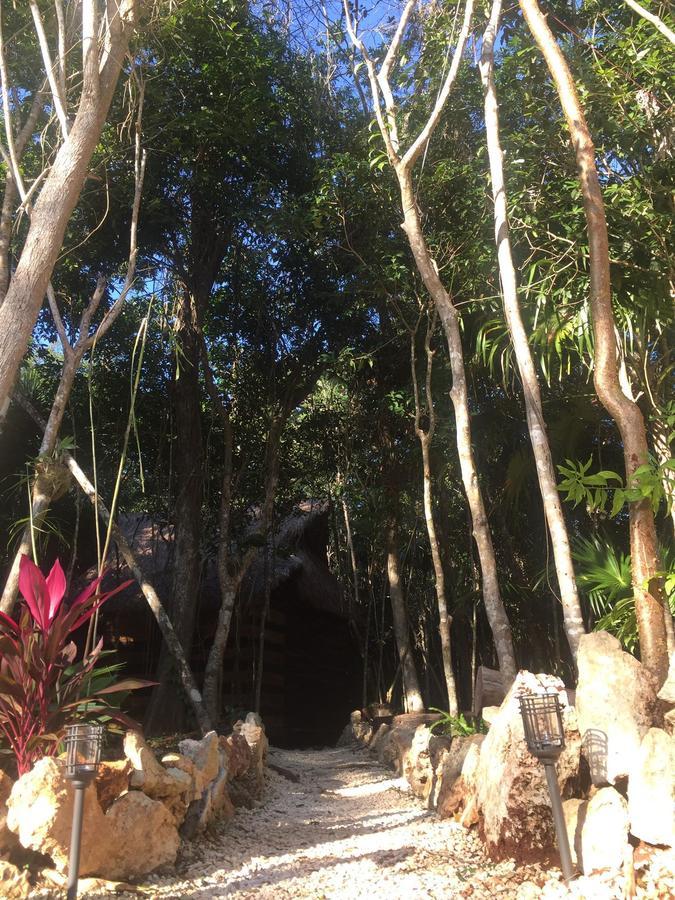 Cheel Lodge & Camping Puerto Morelos Exteriör bild