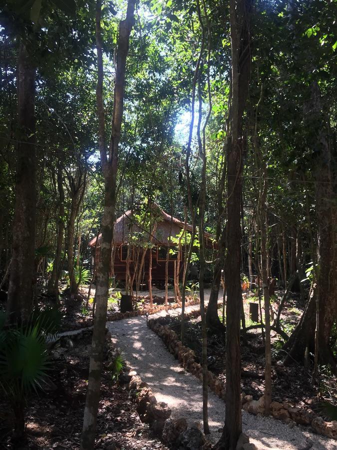 Cheel Lodge & Camping Puerto Morelos Exteriör bild