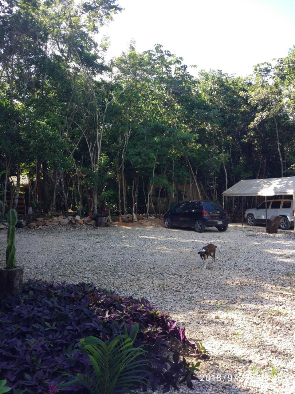 Cheel Lodge & Camping Puerto Morelos Exteriör bild